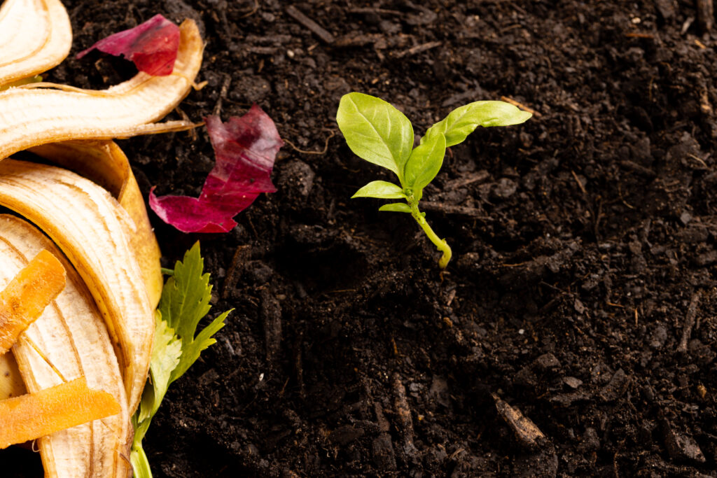 რატომ კომპოსტირება? რატომ კომპოსტირება?